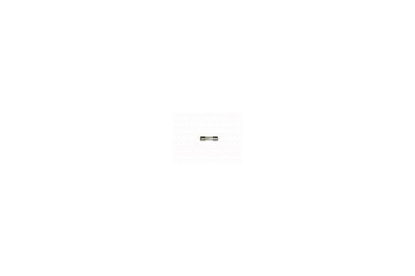 Üvegbiztosíték 10 A 5x20mm lassú-1